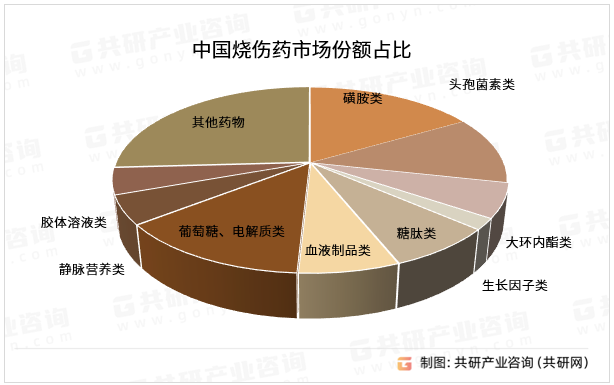 中国烧伤药市场份额占比