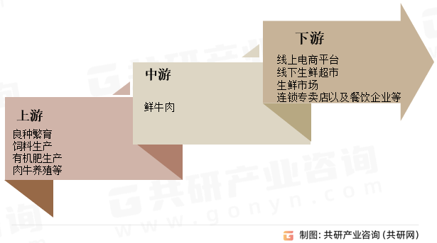 鲜牛肉行业产业链