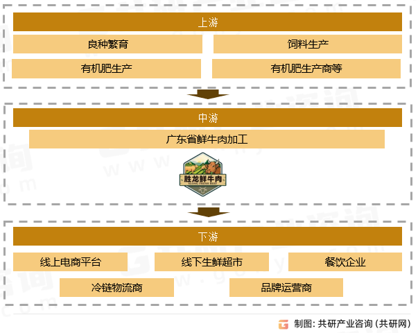 广东省鲜牛肉行业产业链