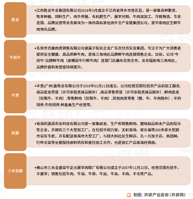 广东省各大鲜牛肉品牌介绍