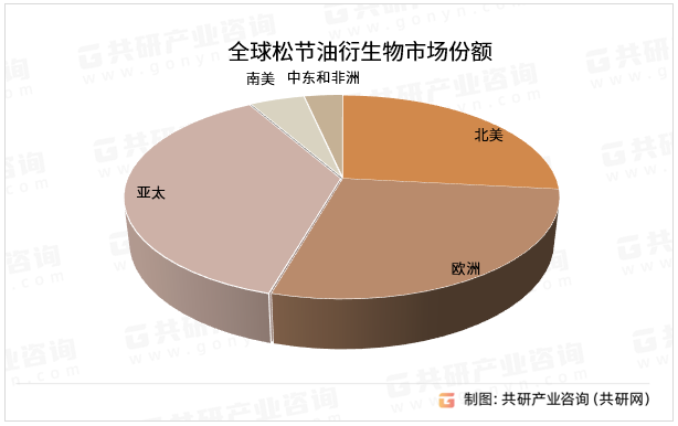 全球松节油衍生物市场份额