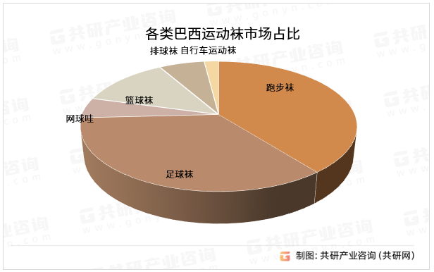 各类巴西运动袜市场占比