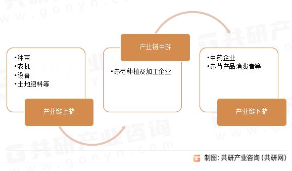 赤芍行业产业链