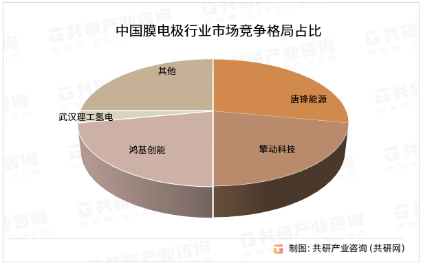 中国膜电极行业市场竞争格局占比