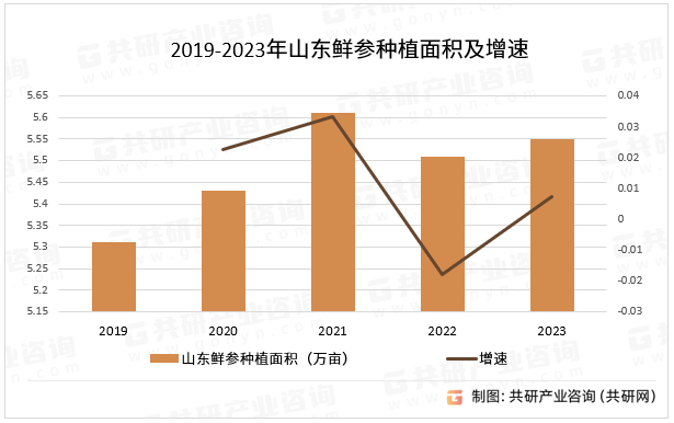 2019-2023年山东鲜参种植面积及增速