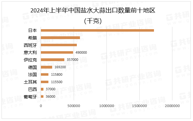 2024年上半年中国盐水大蒜出口数量前十地区