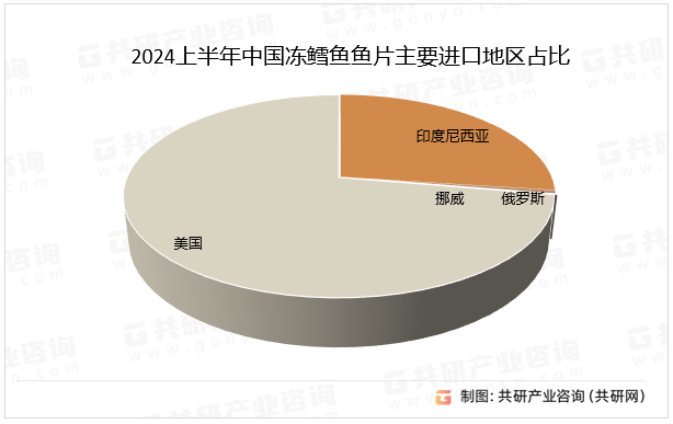 2024上半年中国冻鳕鱼鱼片主要进口地区占比