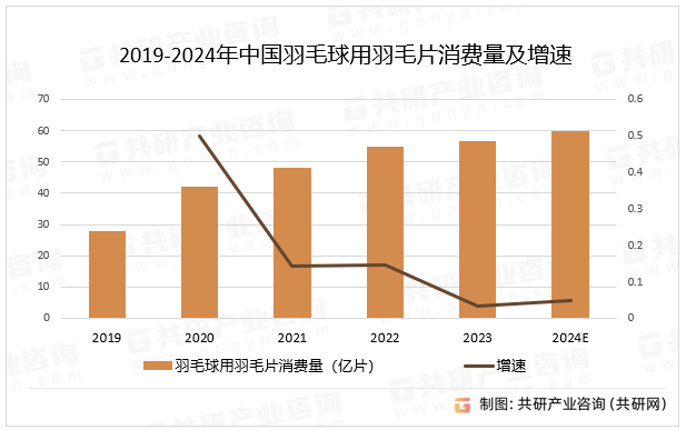 2019-2024年中国羽毛球用羽毛片消费量及增速