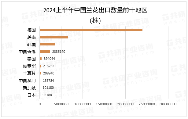 2024上半年中国兰花出口数量前十地区