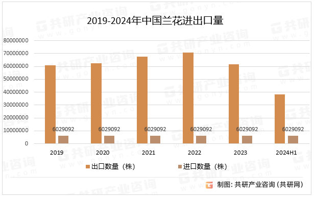 2019-2024年中国兰花进出口量