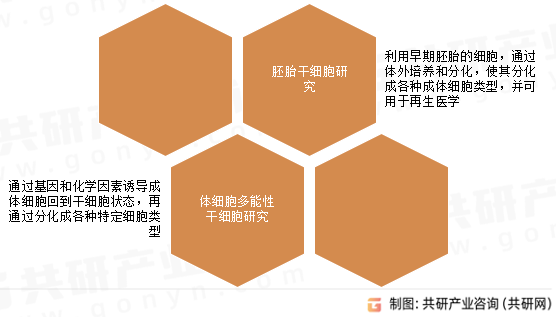 干细胞临床研究类型