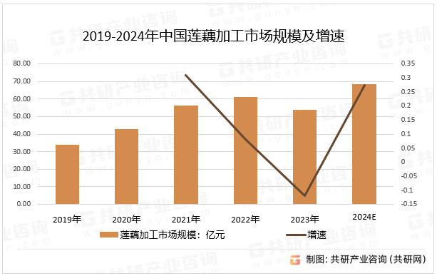 2019-2024年中国莲藕加工市场规模及增速