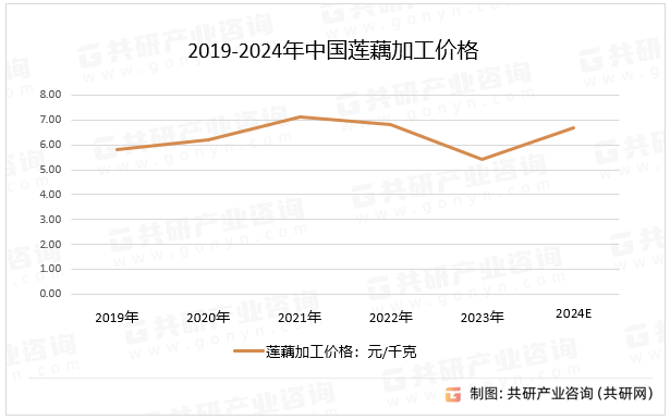 2019-2024年中国莲藕加工价格