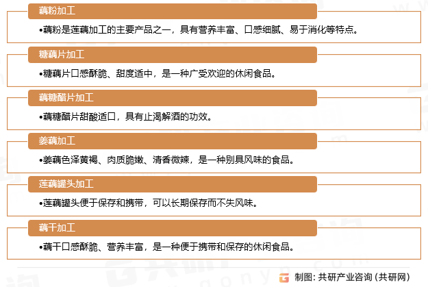 莲藕主要加工方式