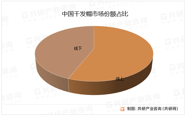 中国干发帽市场份额占比