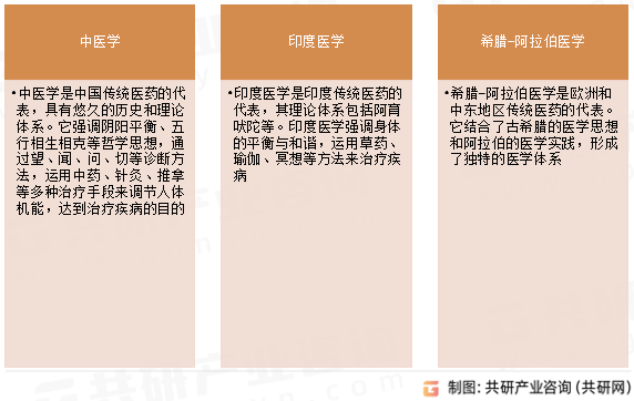 传统医药主要类型