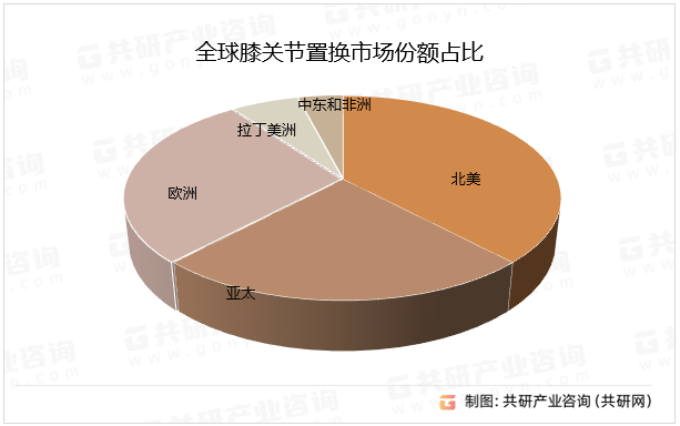 全球膝关节置换市场份额占比