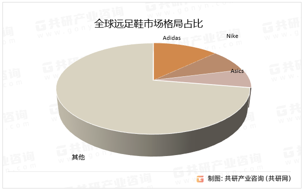 全球远足鞋市场格局占比