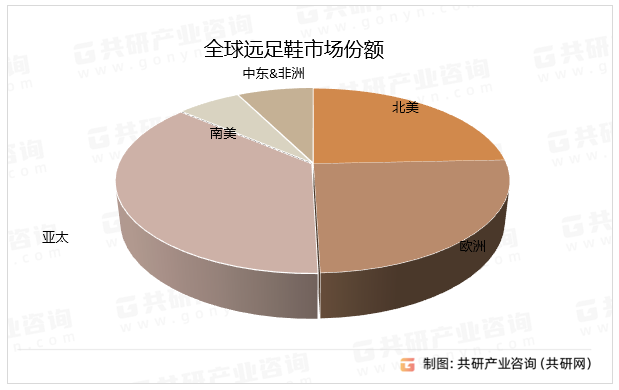 全球远足鞋市场份额