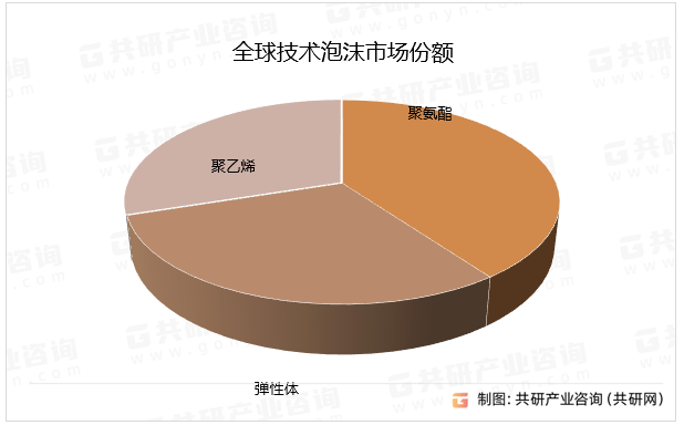 全球技术泡沫市场份额