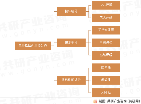 芭蕾舞培训主要分类