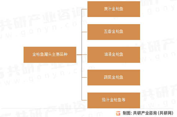 金枪鱼罐头主要品种