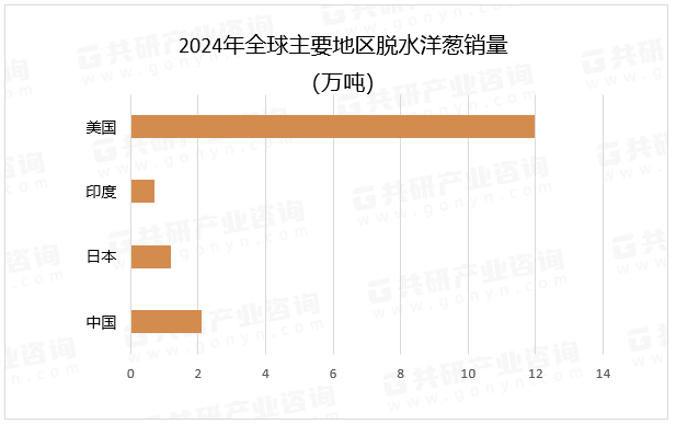 2024年全球主要地区脱水洋葱销量