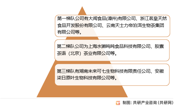 随着市场对固态速溶茶产品的要求逐渐增加，消费者更注重产品的品质、创新性和品牌影响力，低端、技术积累不足的企业将在激烈的市场竞争中逐步被淘汰。固态速溶茶行业的未来竞争格局将更加趋向于市场集中化和高端化，同时各梯队企业将通过不同的战略路径在市场中找到自己的竞争优势，行业的整体竞争将进一步加剧。