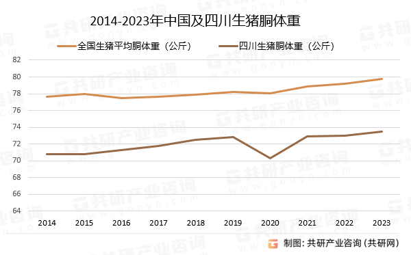 2014-2023年中国及四川生猪胴体重