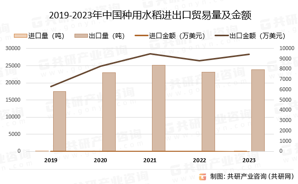 2019-2023年中国种用水稻进出口贸易量及金额