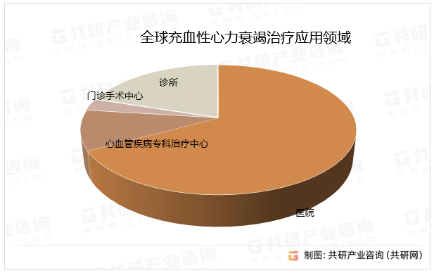 全球充血性心力衰竭治疗应用领域