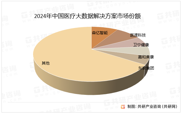 2024年中国医疗大数据解决方案市场份额