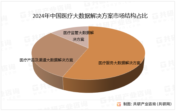 2024年中国医疗大数据解决方案市场结构占比