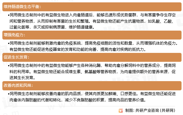 肉禽养殖饲用微生态制剂作用机制与功效