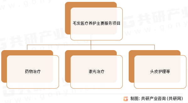 毛发医疗养护主要服务项目