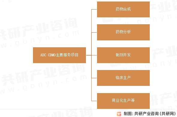 ADC CDMO主要服务项目