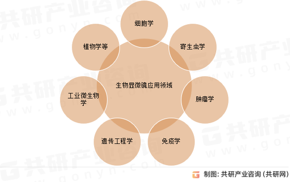 生物显微镜应用领域