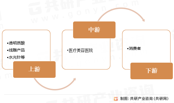 医疗美容医院产业链