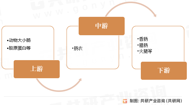 肠衣行业产业链