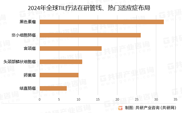 2024年全球TIL疗法在研管线、热门适应症布局