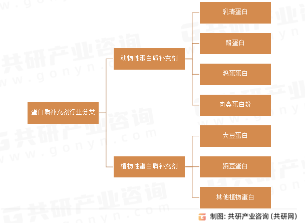 蛋白质补充剂行业分类