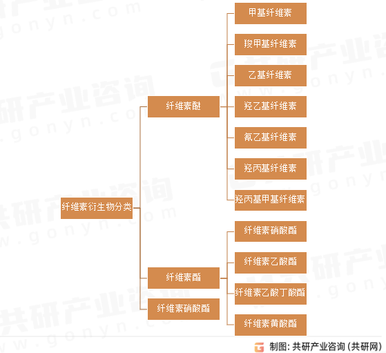 纤维素衍生物分类
