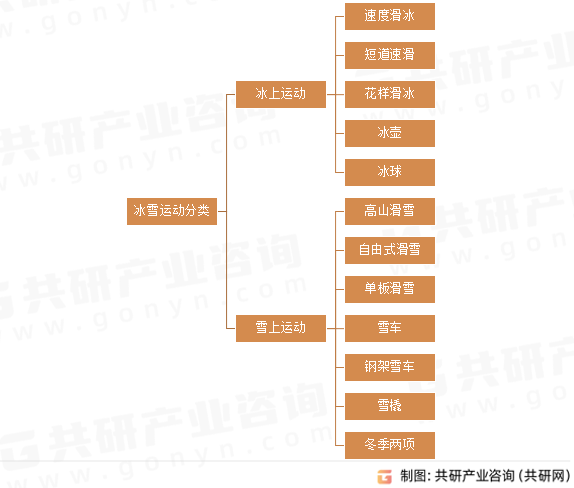 冰雪运动分类