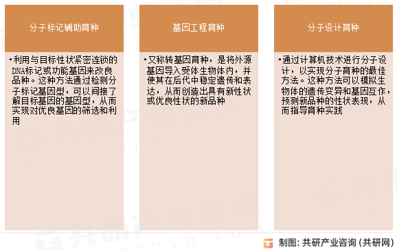 分子育种主要方法