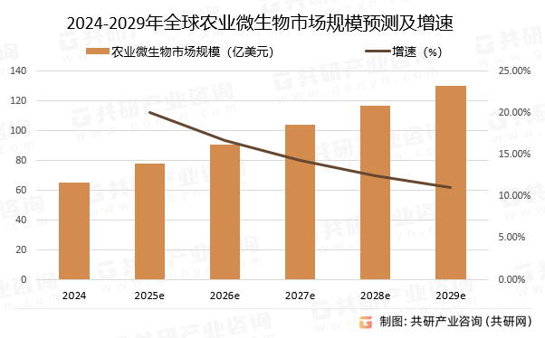 2024-2029ȫũҵ΢гģԤ⼰