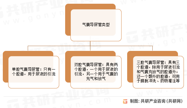 气囊导尿管类型