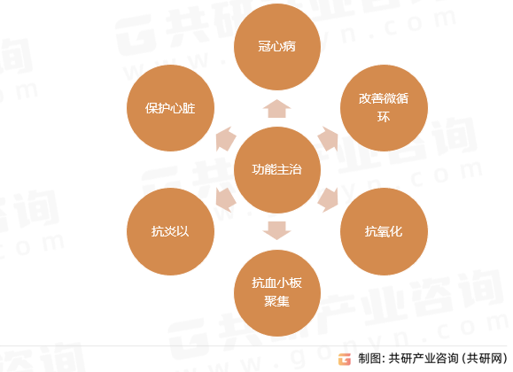 注射用丹参多酚酸盐功能主治