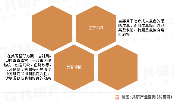 注射用A型肉毒毒素应用领域