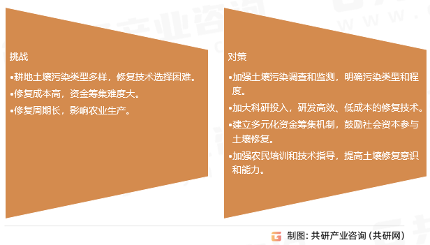 耕地土壤修复的挑战与对策