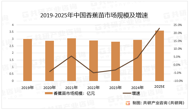 2019-2025年中国香蕉苗市场规模及增速